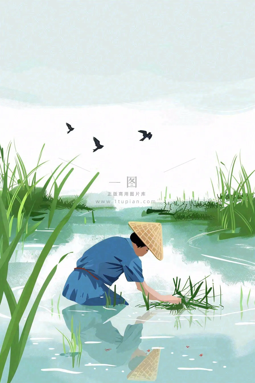 春耕农民种植水稻水田春雨燕子小满芒种春分卡通插画背景
