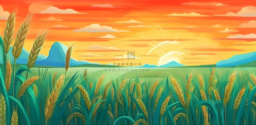 农田庄稼小麦玉米地夕阳晚霞绿色背景