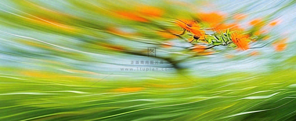 橙色鲜花意境流水渐变朦胧背景