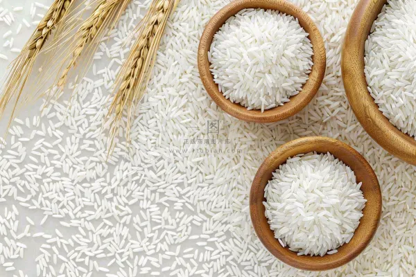 世界粮食日谷物米饭稻谷小麦摄影图