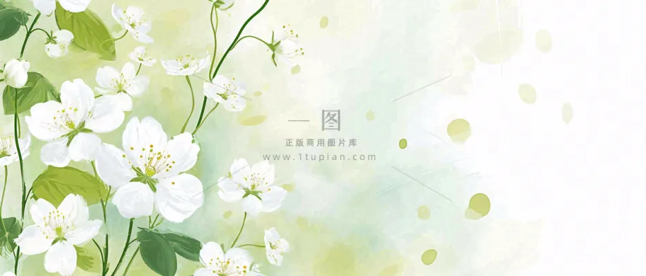 清新白色小花野花野草春天萌芽手绘,春分 清新白色小花野花野草春天萌芽手绘,春分