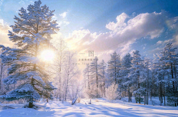 冬天白雪覆盖的森林阳光照射大自然雪景大雪小雪冬至摄影图