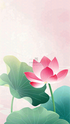 夏天荷花荷叶清凉小清新淡雅立夏夏至暑插画背景 夏天荷花荷叶清凉小清新淡雅立夏夏至暑插画背景