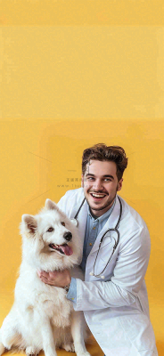 萌宠宠物医院医生抱着狗狗摄影图背景 萌宠宠物医院医生抱着狗狗摄影图背景