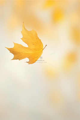 黄色落叶清新秋日节气海报背景 黄色落叶清新秋日节气海报背景