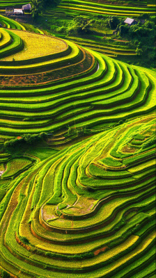 春天唯美绿色梯田种植,乡村小屋,谷雨摄影图 春天唯美绿色梯田种植,乡村小屋,谷雨摄影图