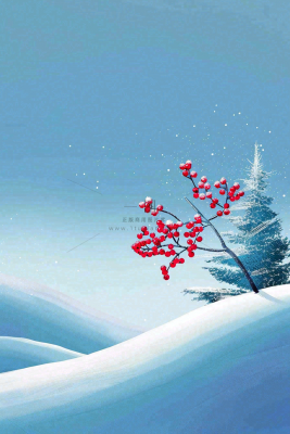 冬天雪山白霜红色果实覆盆子霜降寒露背景