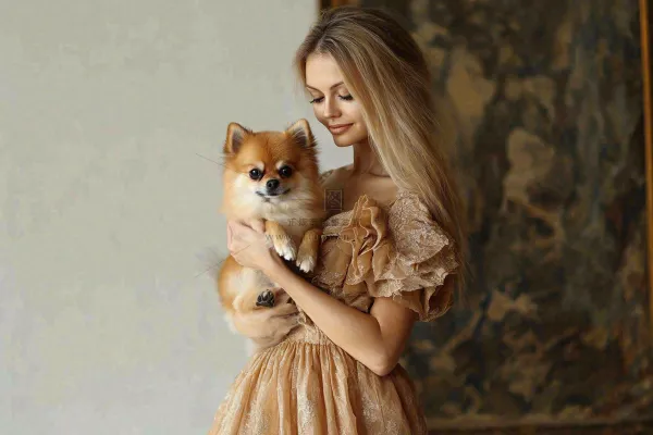 博美小狗美女抱着小狗萌宠宠物摄影图 博美小狗美女抱着小狗萌宠宠物摄影图