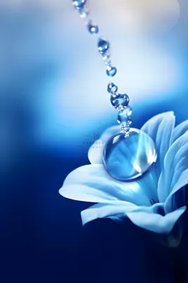 清新露珠蓝白色背景 清新露珠蓝白色背景