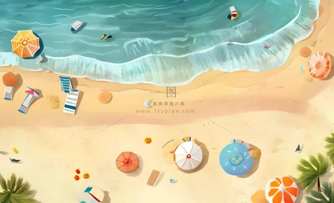 夏日海滩海边浪花海鸥背景