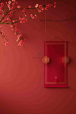 红色国风背景梅花花朵插画元旦背景