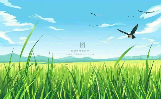 春天草场莺飞小麦地绿色麦苗小满芒种立夏卡通插画背景