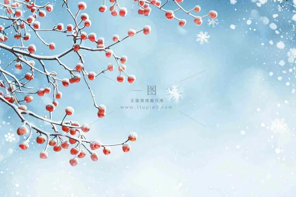 冬天白雪覆盖的红色果实白霜霜降小雪大雪水彩插画背景