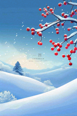 冬天雪山白霜红色果实覆盆子霜降寒露背景 冬天雪山白霜红色果实覆盆子霜降寒露背景