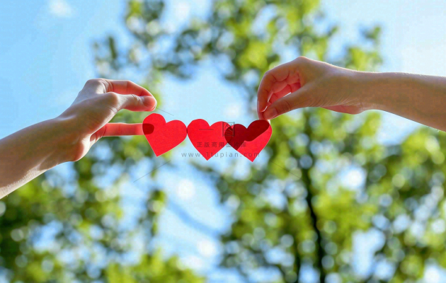 手拿红色爱心比心场景阳光唯美小清新情人节七夕摄影图 手拿红色爱心比心场景阳光唯美小清新情人节七夕摄影图