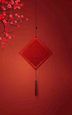 红色国风背景梅花花朵插画元旦背景