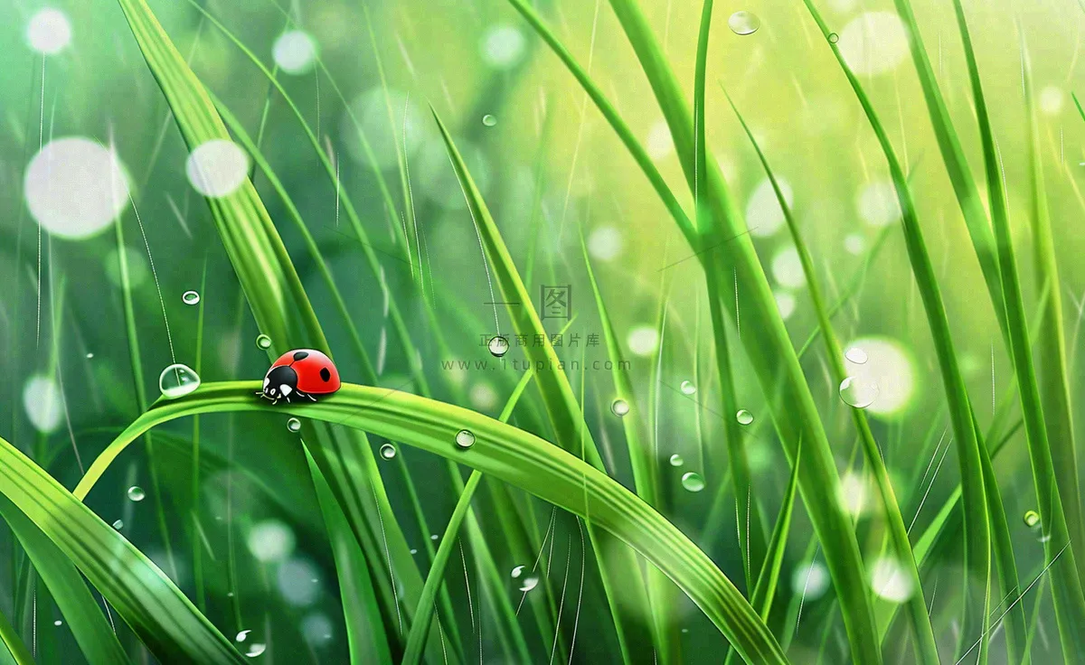 惊蛰雨水谷雨春天瓢虫昆虫绿色嫩草下雨天卡通插画背景