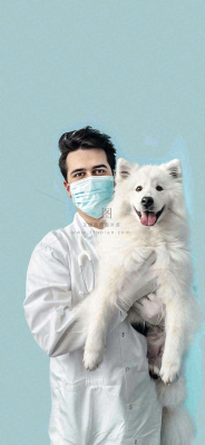 萌宠宠物医院医生抱着狗狗摄影图背景