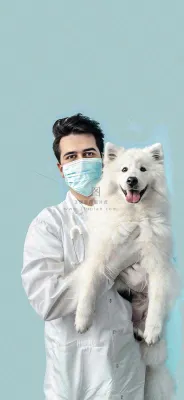 萌宠宠物医院医生抱着狗狗摄影图背景 萌宠宠物医院医生抱着狗狗摄影图背景