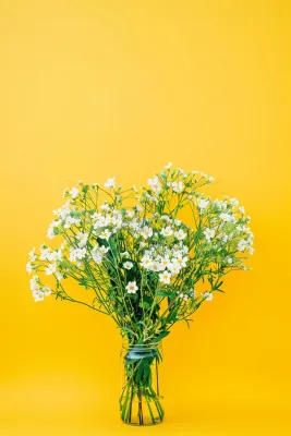 小雏菊白色花朵花瓶黄色背景摄影图