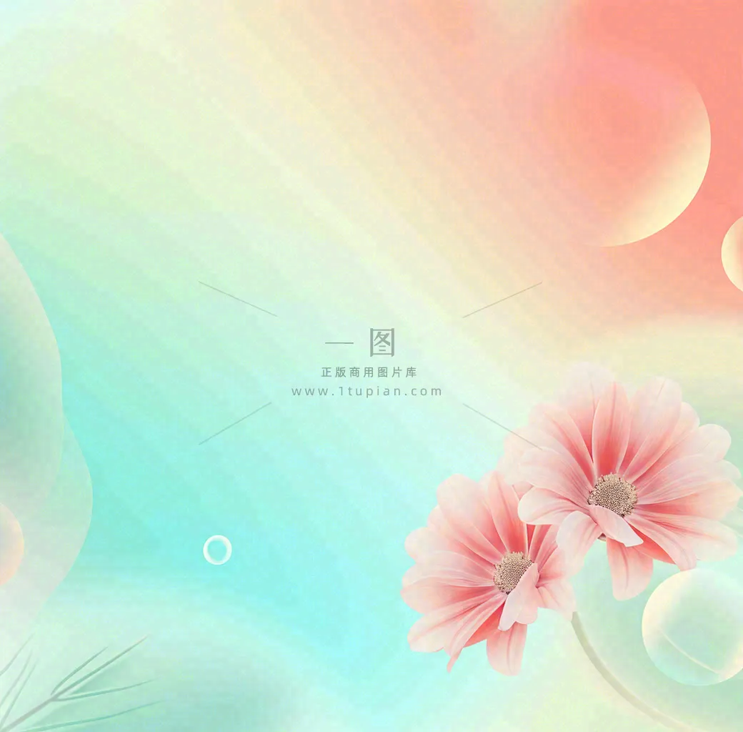 彩色简约鲜花花束郁金香渐变花朵