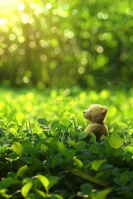 春天绿草坪野花上的小熊玩偶阳光立春春分惊蛰摄影图