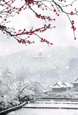 冬天寒冷白雪结冰大寒摄影图