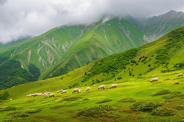 春天高原草地草地牛羊摄影图