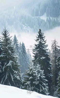 冬天寒冷白雪结冰大寒摄影图 冬天寒冷白雪结冰大寒摄影图