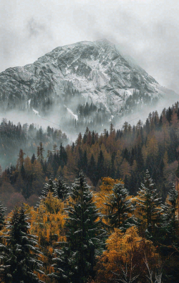 秋天森林山脉清晨起雾大自然风光寒露摄影图