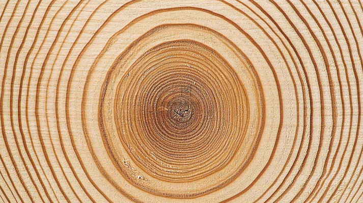 木质木头纹理背景