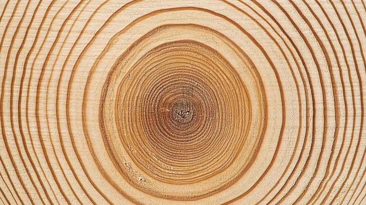 木质木头纹理背景