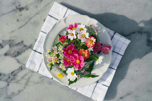 鲜花彩色花朵碟子摆盘简约摄影图