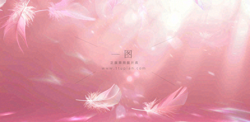 粉色气泡羽毛梦幻情人节七夕插画背景