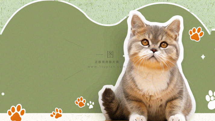 宠物生活馆猫狗卡通插画背景 宠物生活馆猫狗卡通插画背景