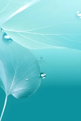 树叶露珠青色大气意境背景 树叶露珠青色大气意境背景