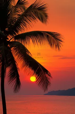 夏日沙滩椰树海边落日余晖晚霞摄影图