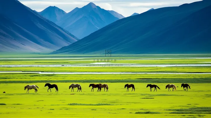 新疆春天草原风光大自然风景摄影图