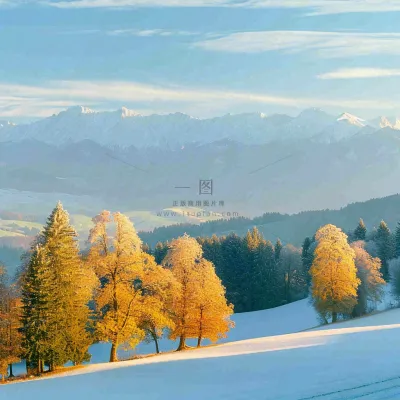 秋天黄色的树叶和草地肃杀的气氛,立秋,秋分 秋天黄色的树叶和草地肃杀的气氛,立秋,秋分