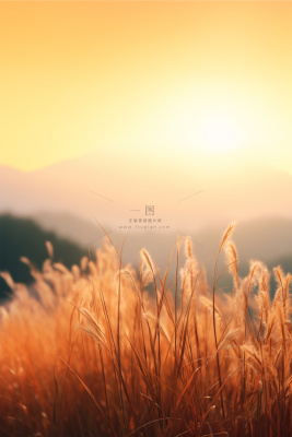 落日黄昏夕阳枝叶简约节气海报背景 落日黄昏夕阳枝叶简约节气海报背景