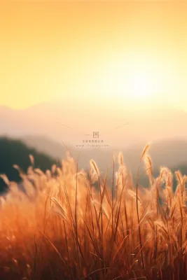 落日黄昏夕阳枝叶简约节气海报背景 落日黄昏夕阳枝叶简约节气海报背景