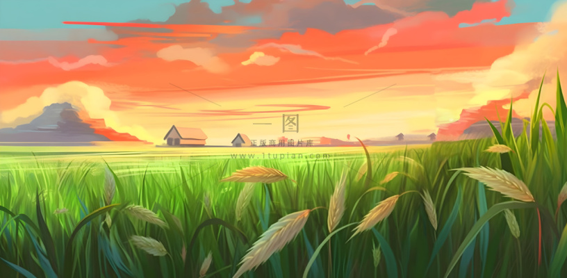 农田庄稼小麦玉米地夕阳晚霞绿色背景