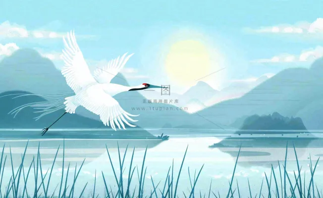 白鹭齐飞天水一色山水画芦苇荡清冷白露寒露插画背景