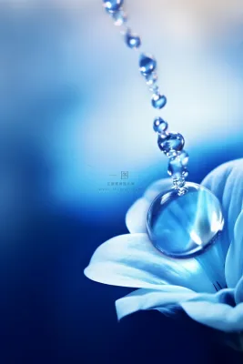 蓝色渐变鲜花露珠意境节气海报背景 蓝色渐变鲜花露珠意境节气海报背景