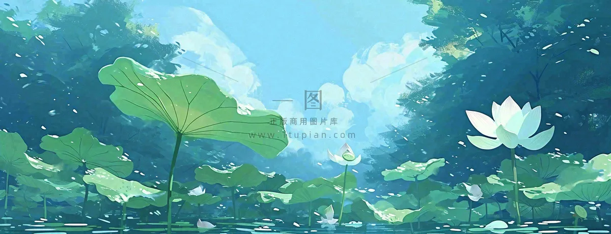 夏天湖面落叶荷花荷叶水面仰视,夏至小暑大暑