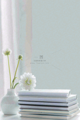 文静花瓶装饰书本阅读知识世界读书日摄影图