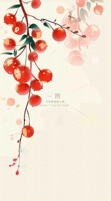 秋天挂满果实的树枝秋收水彩国画插画立秋秋分背景 秋天挂满果实的树枝秋收水彩国画插画立秋秋分背景