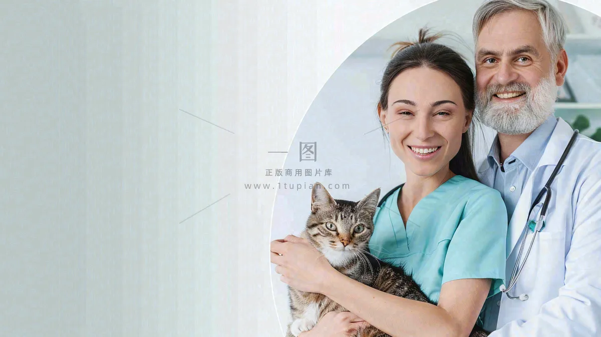 宠物医院猫狗生病救治摄影图