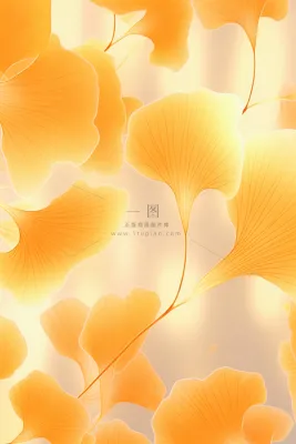 落叶秋叶黄色简约背景