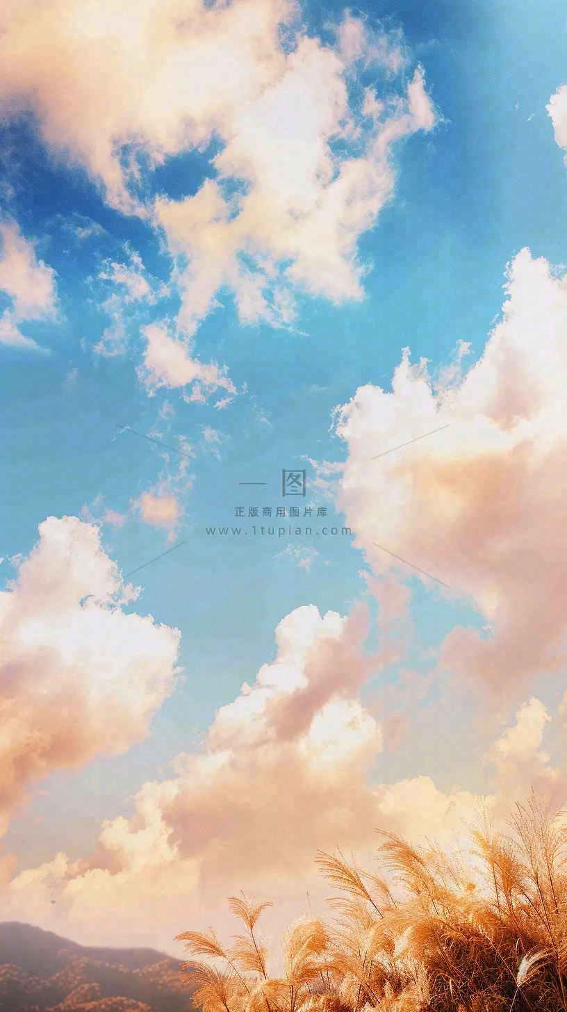 秋天蓝天户外芦苇草，立秋秋分摄影图